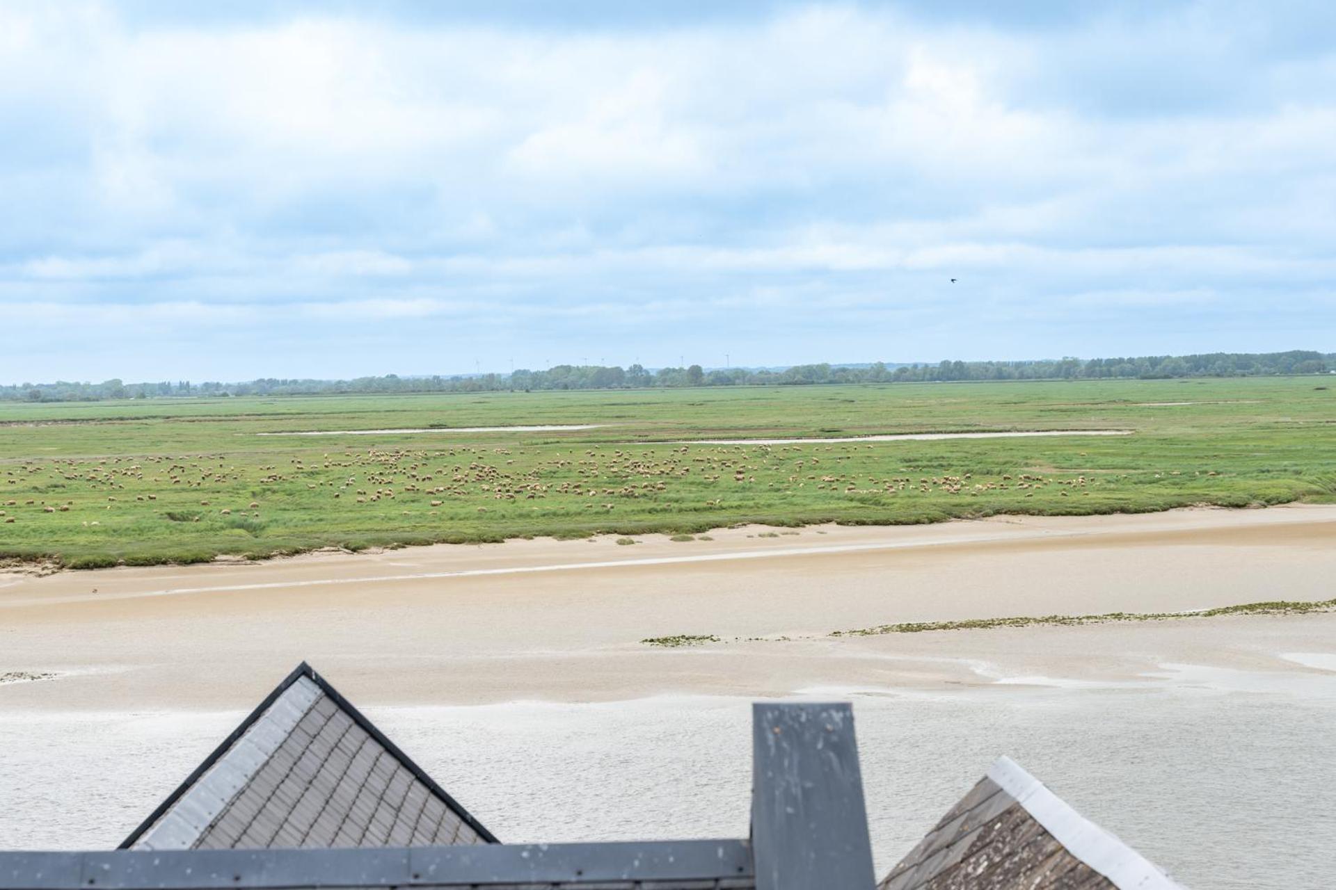 Bleu Bonheur, Appartement Cosy Au Coeur De La Baie Saint-Valéry-sur-Somme Dış mekan fotoğraf